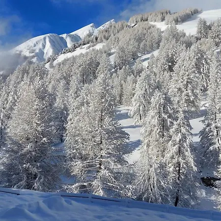 Apartment Ete Hiver A La Foux D'allos Allos